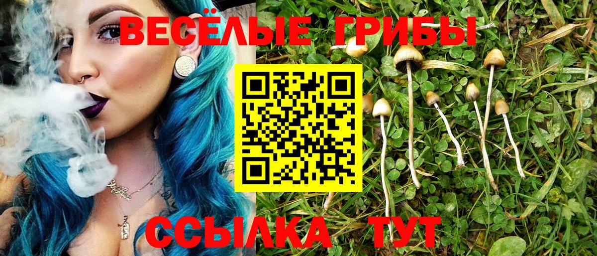 Псилоцибиновые грибы MAGIC MUSHROOMS Миасс