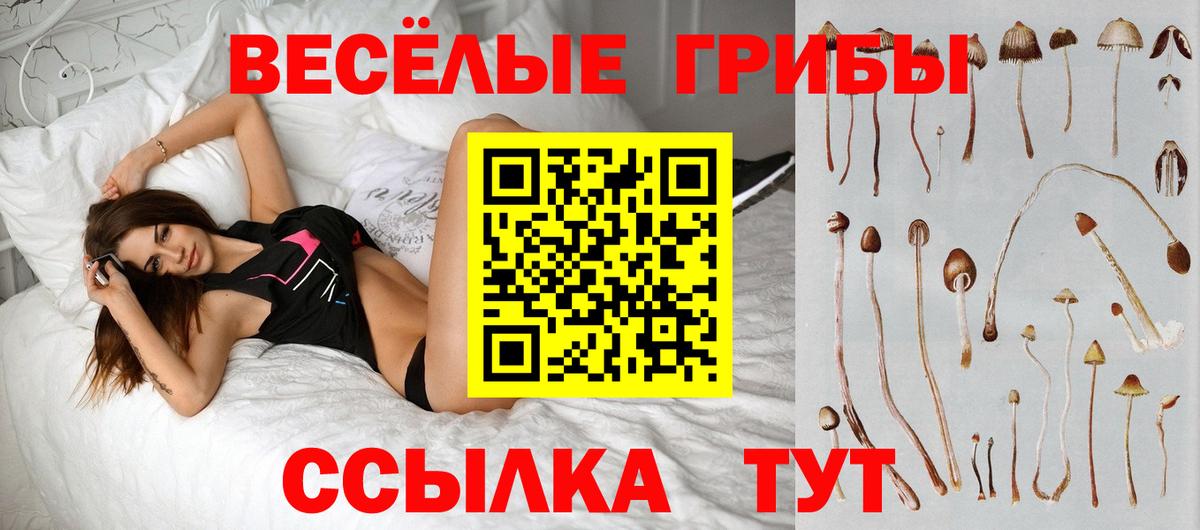 Метадон  Вход с VPN  Конопля  Меф кристаллы  Миасс  Где купить наркотики?  ГАШ  КОКАИН  Мефедрон 